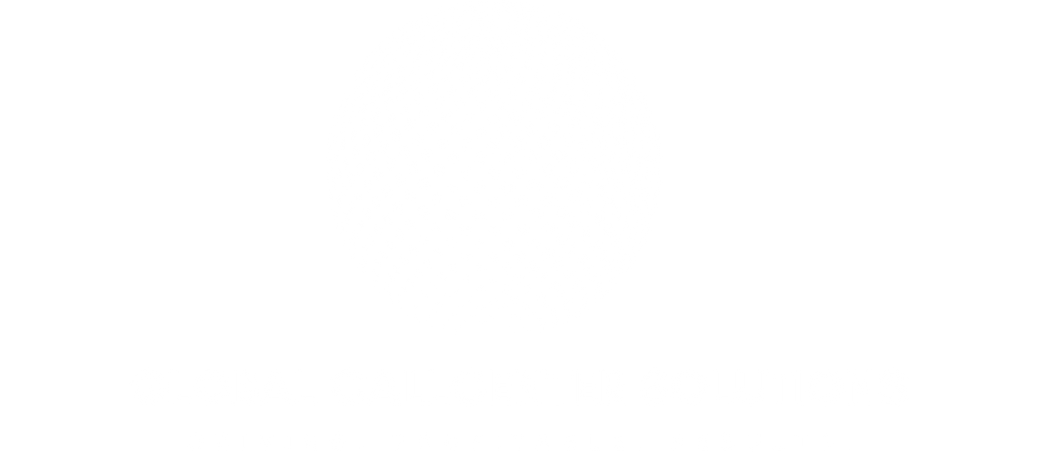 Global Callcenter Solutions